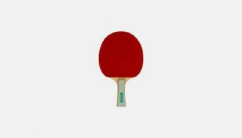 Butterfly Wakaba 3000: Análisis de la pala de ping pong