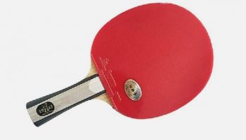 Palio Expert 2: Análisis de la pala de ping pong