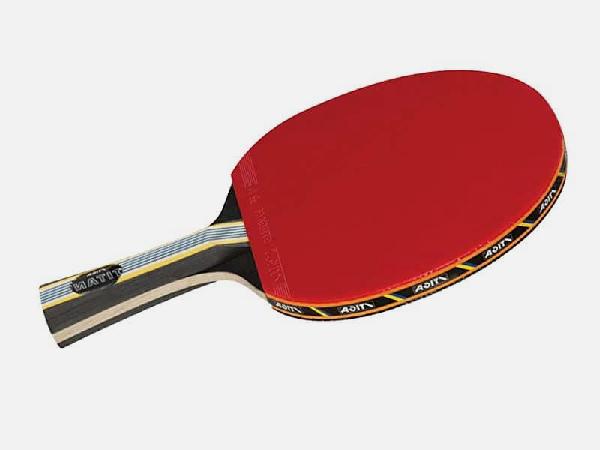Review Pala de Ping Pong JOOLA Omega Speed